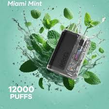 Mimzy Era 12000 hits Mayoreo (Caja 10 Pz)